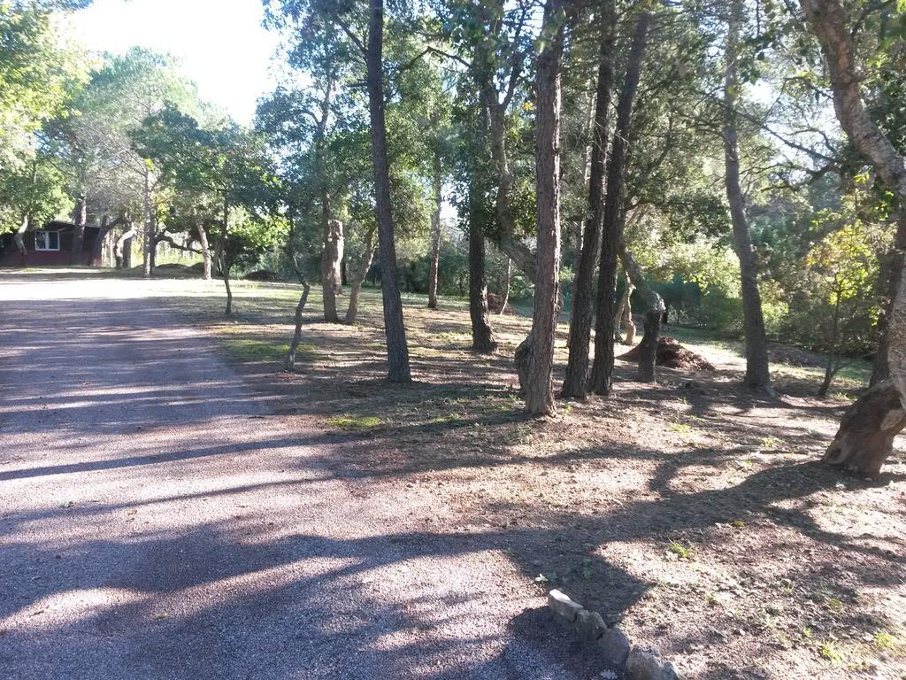 Les Mayombes Panzió Roquebrune-sur Argens Kültér fotó