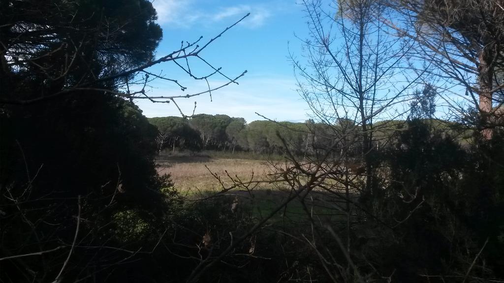 Les Mayombes Panzió Roquebrune-sur Argens Kültér fotó